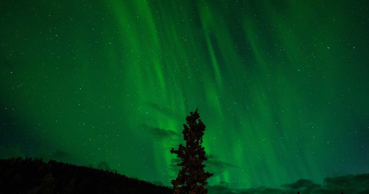 Best Crypto to Buy Now: Top 5 Cryptos for Maximum Returns