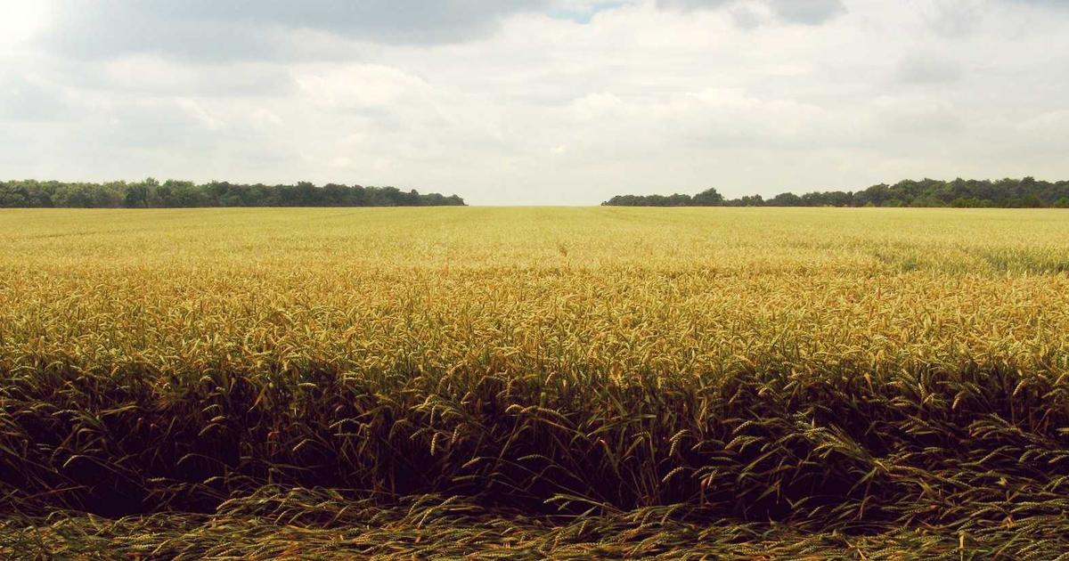 Crypto Passive Income: How to Start Earning in 2026