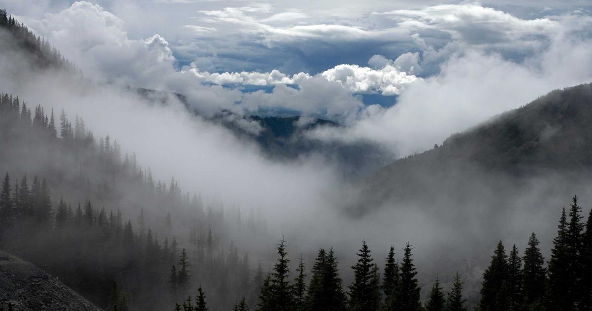 Crypto Trading voor Ambitieuze Beginners: Tips en Strategieën