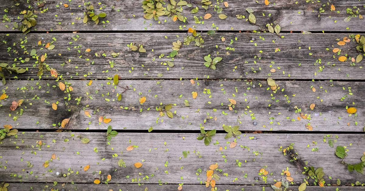 Full Stack Web3: 11 Proven Steps (2026)