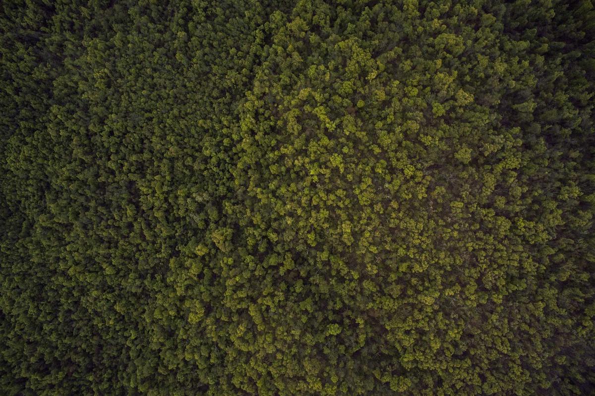 This “quantum-safe” Bitcoin idea removes Taproot’s key-path — and raises fees on purpose